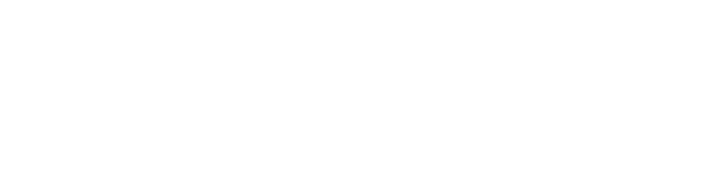 Schnüriger AG